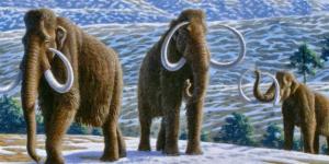 Source: Google Images/BBC News 